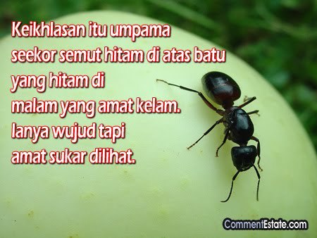 Jadi Hamba Allah Atau Hamba Manusia