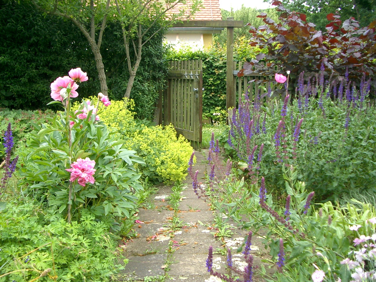 VILLA HILDEGARD Juni 2013