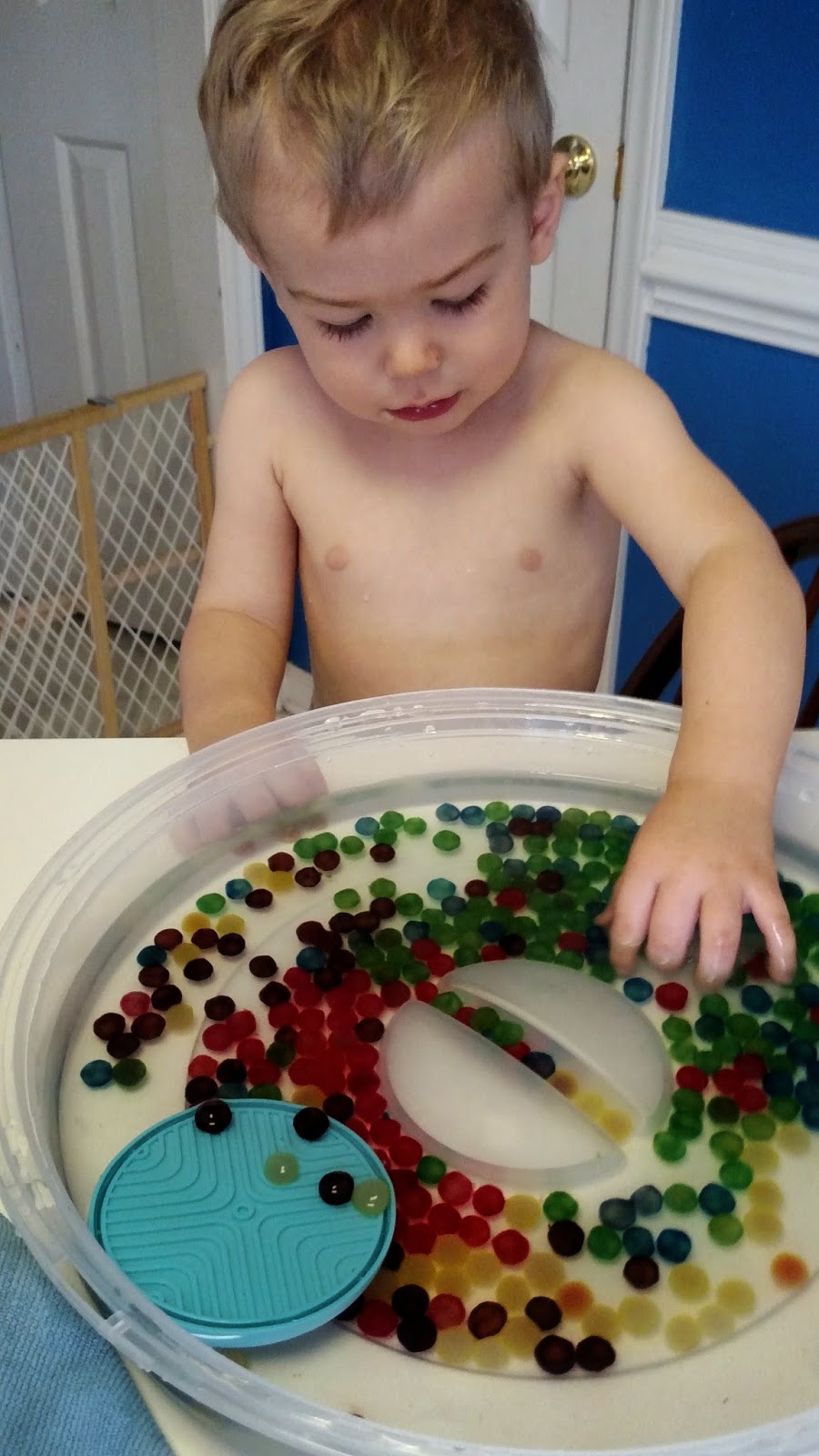 Life, Love, and the Pursuit of Everything! Edible Sensory Bead Fun!