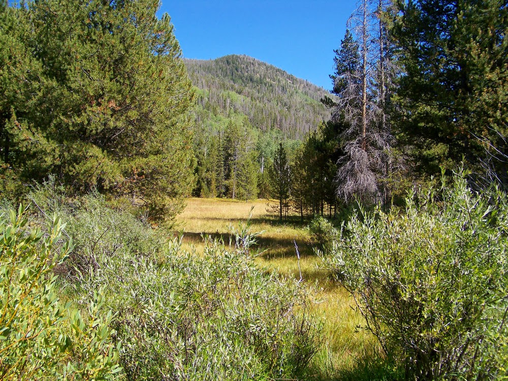 Runaway Bridal Planner Christmas Meadows, Utah High Uinta Mountains