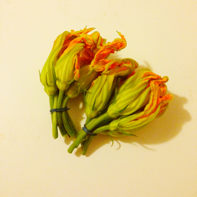 K8LA Vegan Stuffed Squash Blossoms