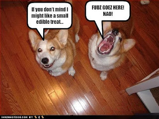 Dog humor