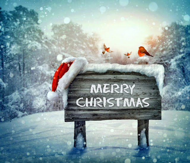 christmas photo cards Snow Merry Christmas Photo Cards