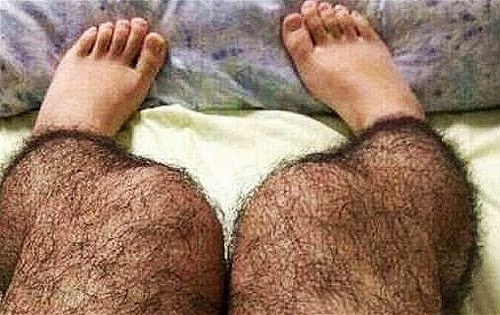 Hairy+stockings.jpg