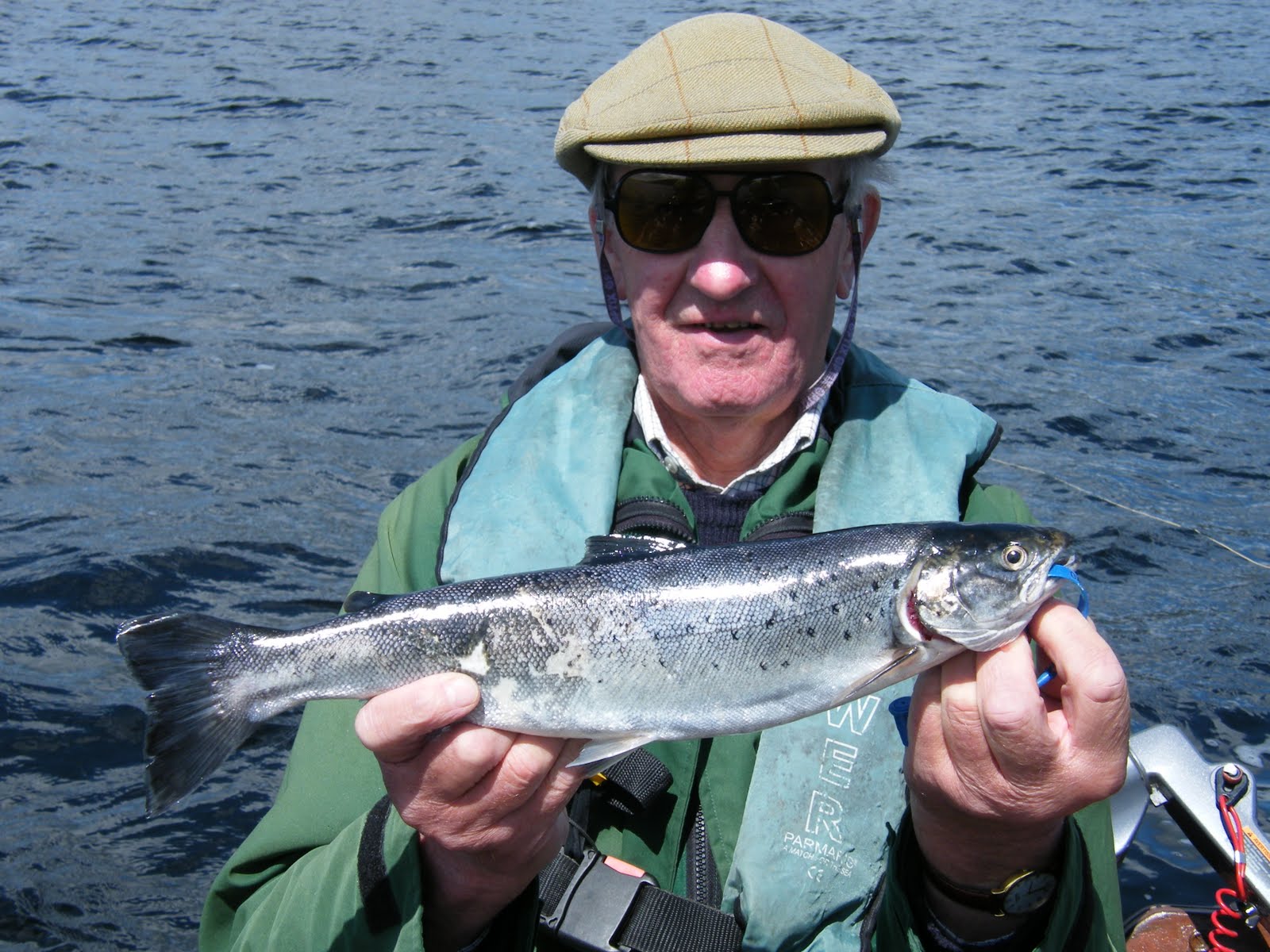 Salmon and Sea Trout June 2011