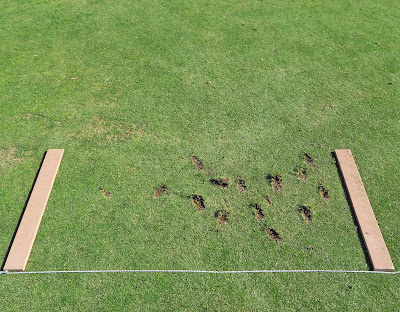 divot