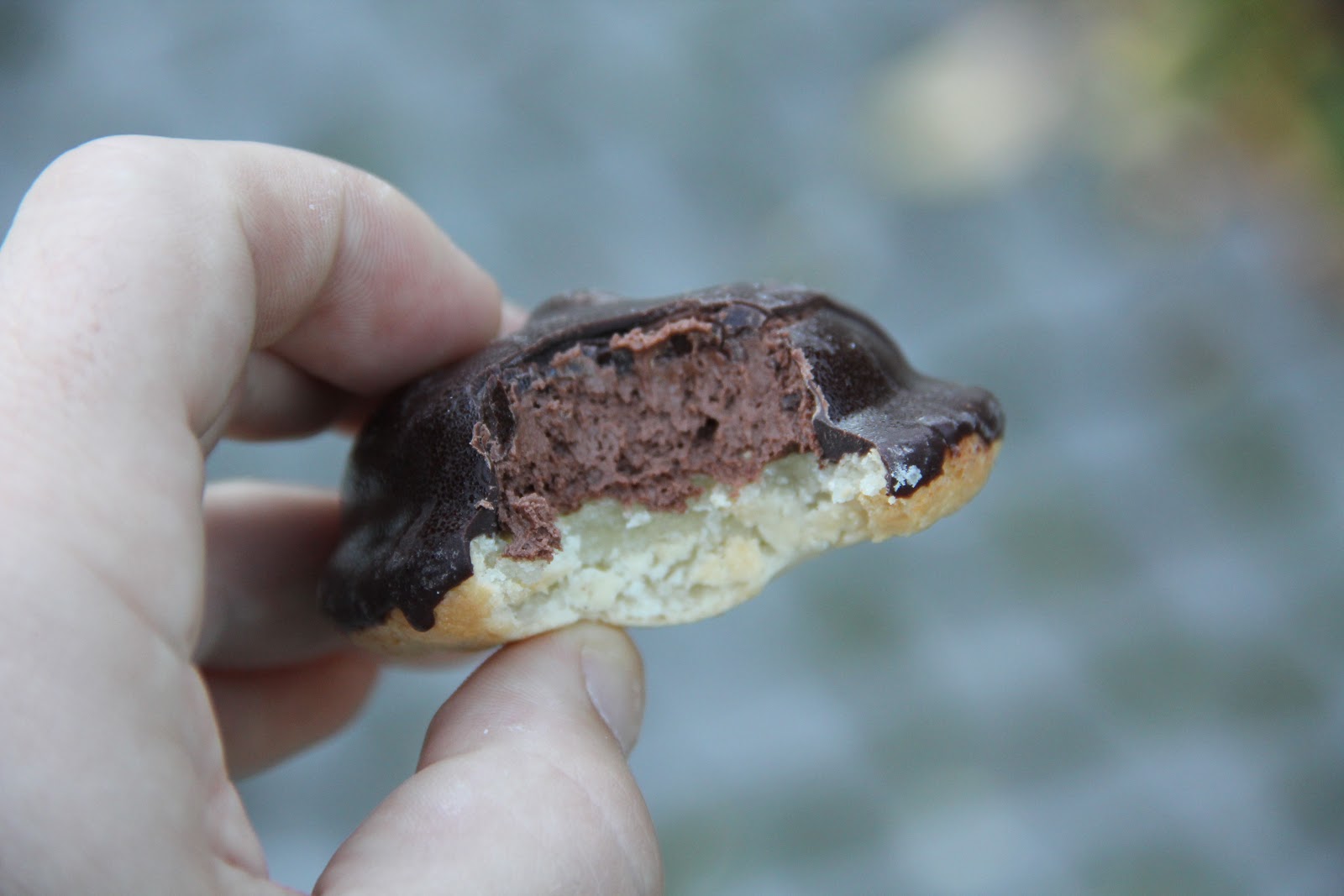 the world's best cookie, the Sarah Bernhardt, also know as a biskvi the world's greatest cookie