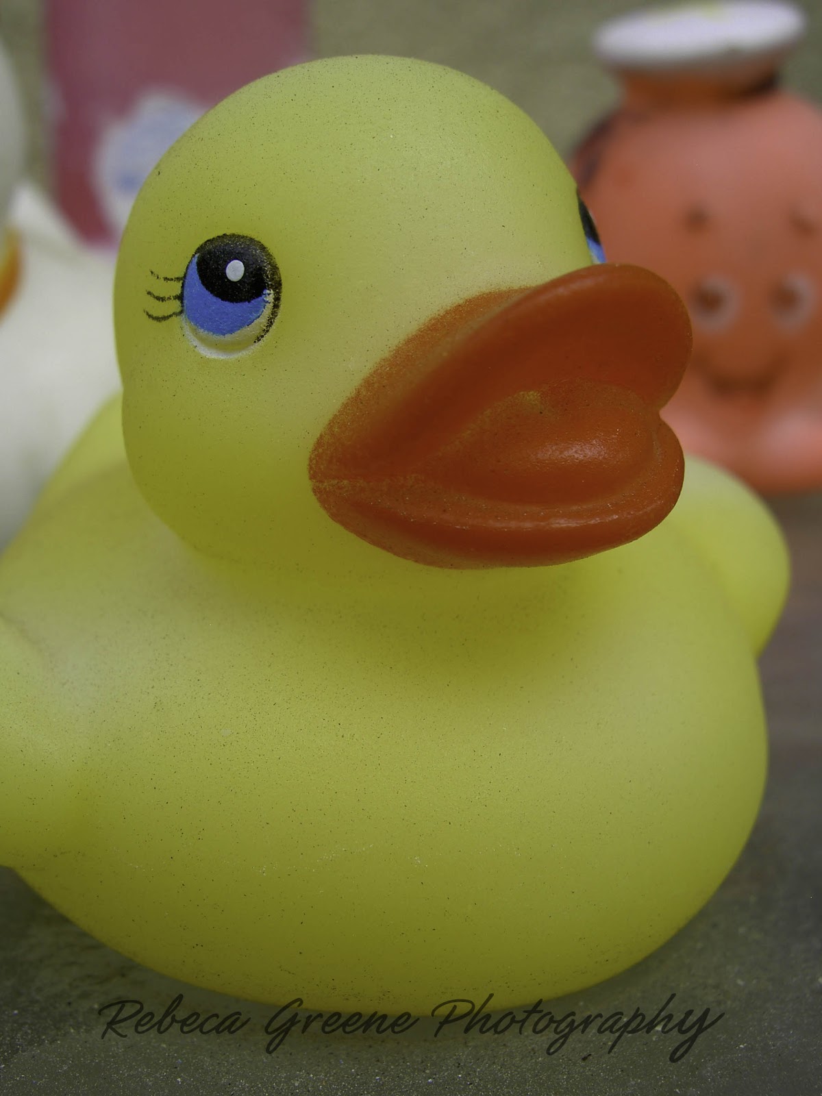 Who's Z? Creations///Rebeca Greene Photography Rubber Baby Buggy Bumpers