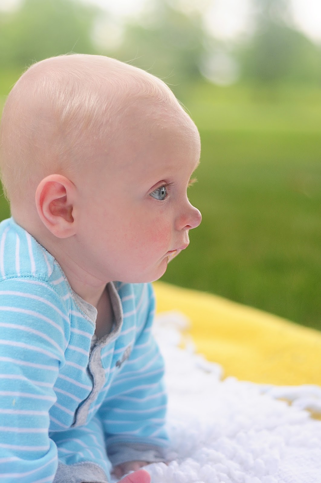 plum tree place Six Month Sweetie