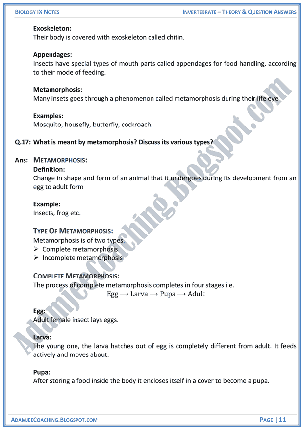invertebrata-theory-notes-and-question-answers-biology-notes-for-class-9th