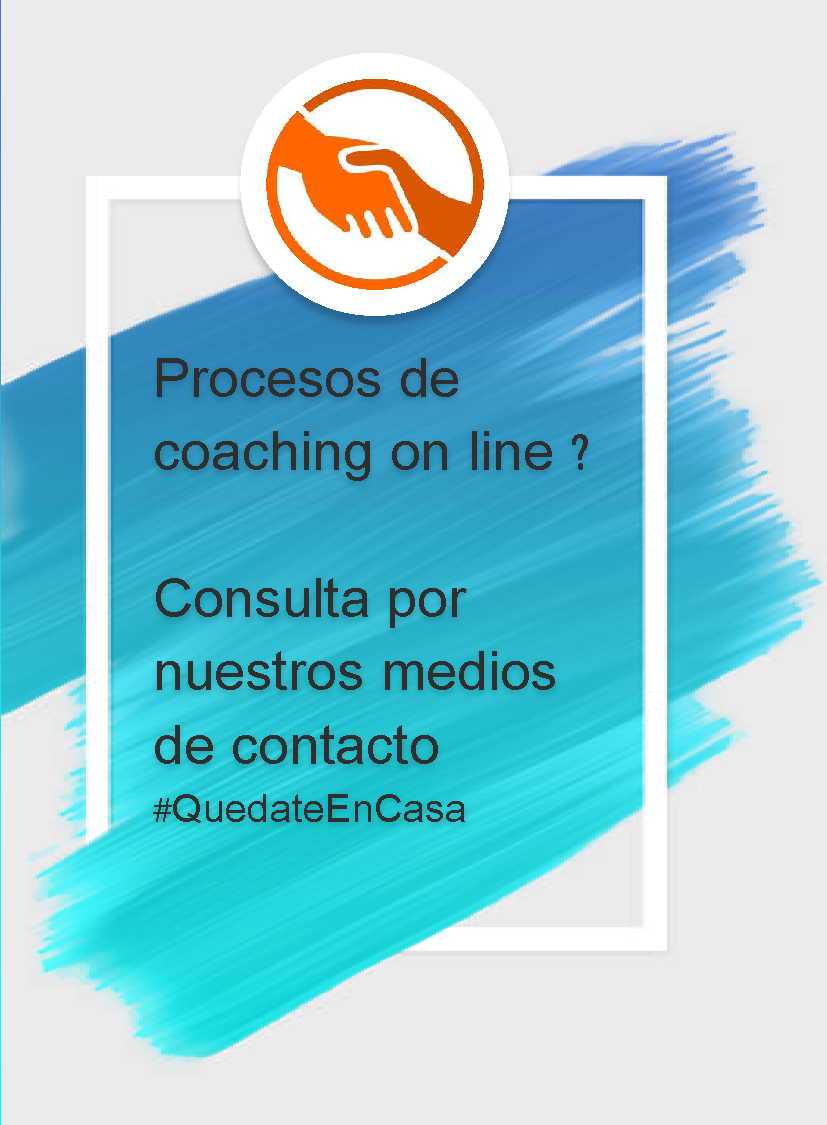 Procesos de coaching on line