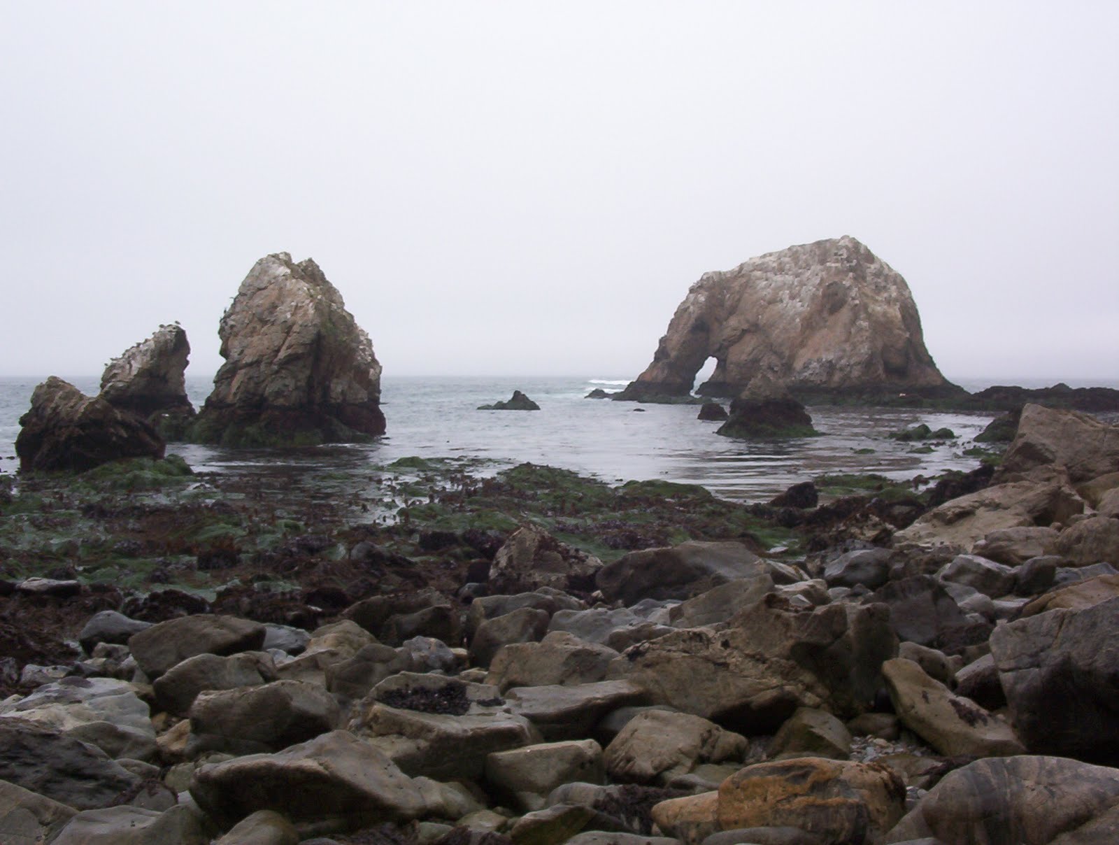 Elephant Rock Beach
