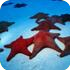 Underwater photography is challenging but highly rewarding. Check out our selection of dive photos from "under the sea!" honolulu diving