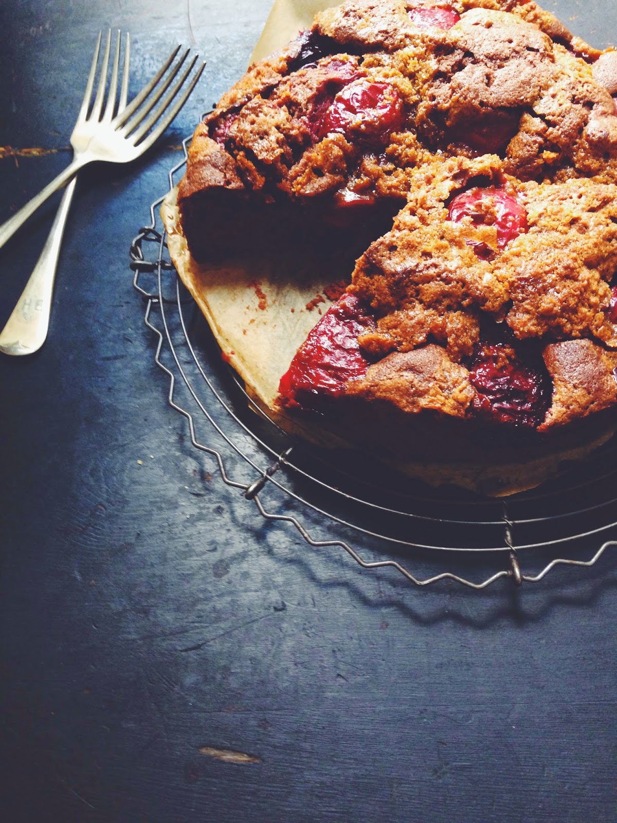 Chocolate Plum Cake hugo and elsa