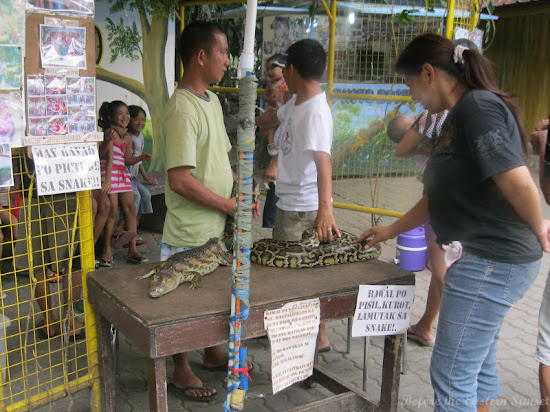 Pet the snakes and lizards in Manila Zoo