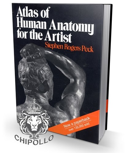 atlas of human anatomy for the artist 1st edition