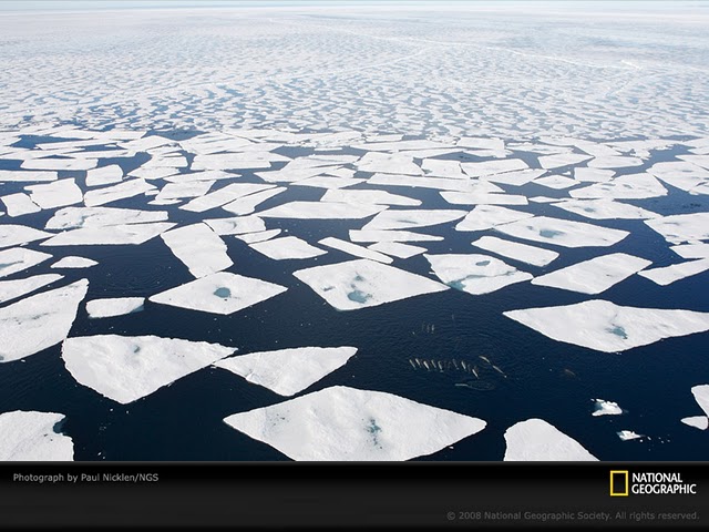 صور مدهشه وغريبه Ice+Circle%252C+Scandinavia