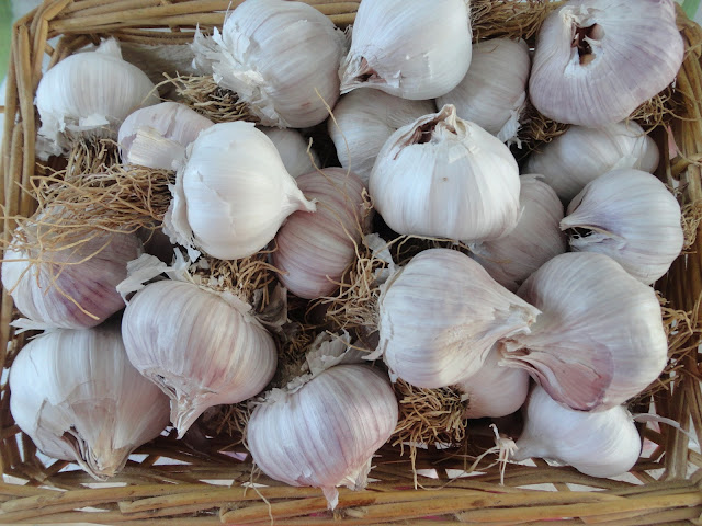 CESTO DE AJOS PARA CONSUMO EN LA COCINA