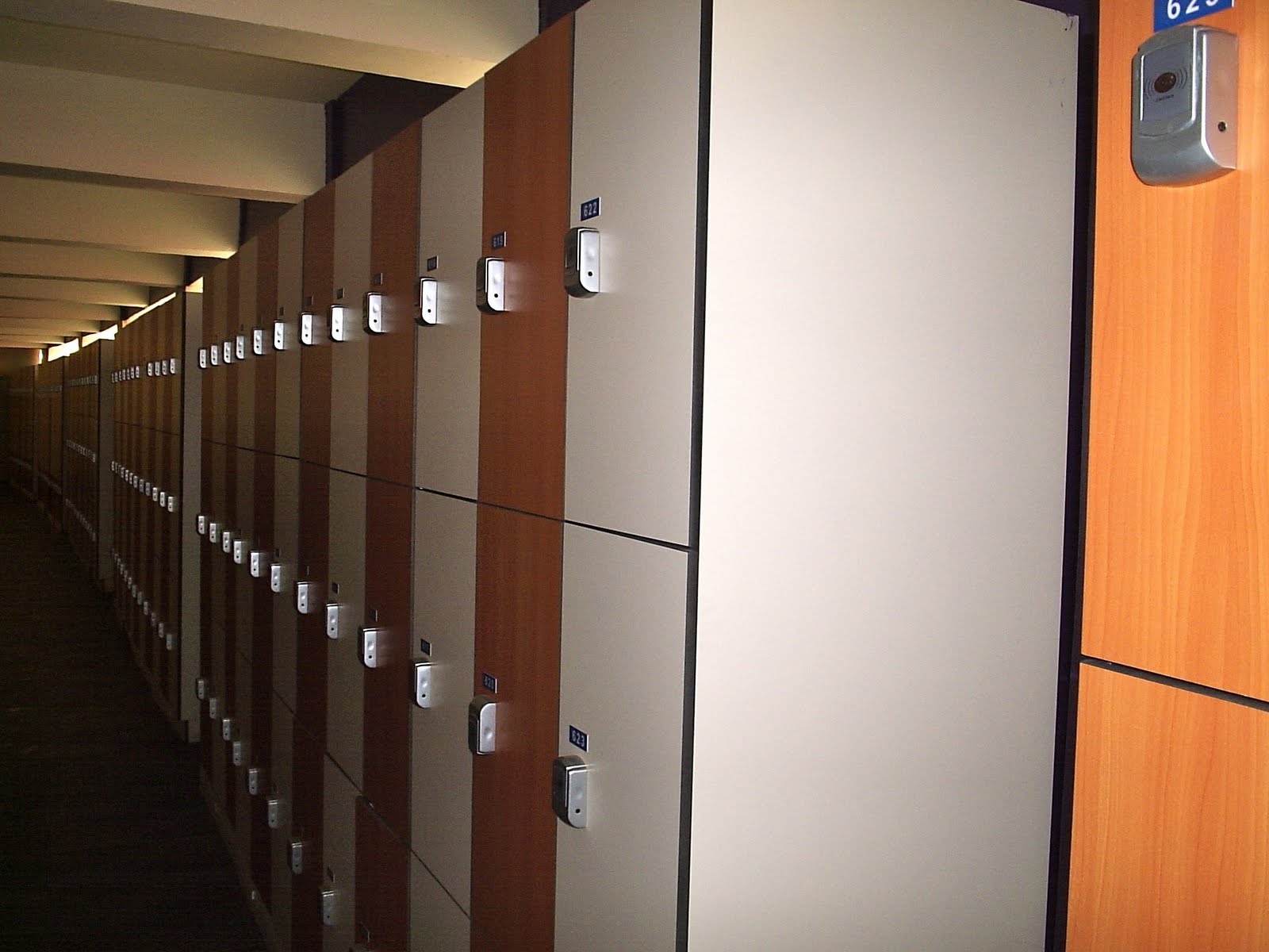 Purple Plum Fairy A day of Bonding Manila Ocean Park's Swimming and