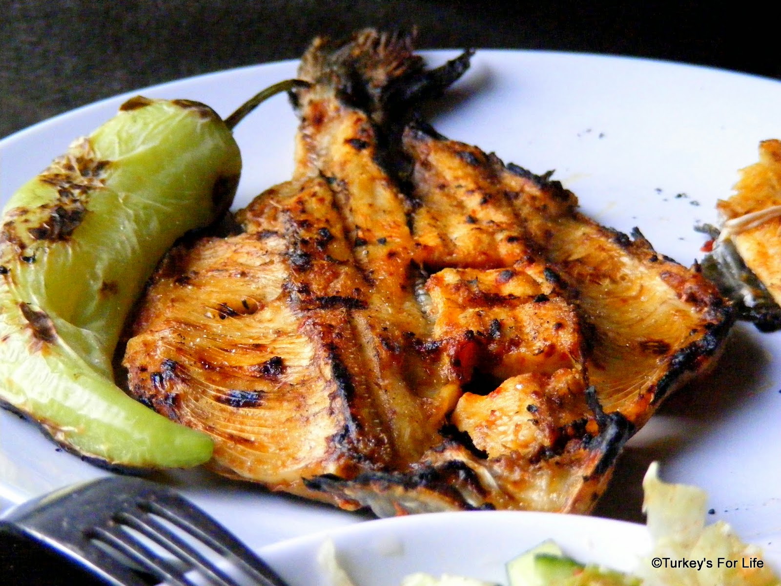 Turkish Food Focus Devouring Simply Cooked Trout At Yeşil Erciş