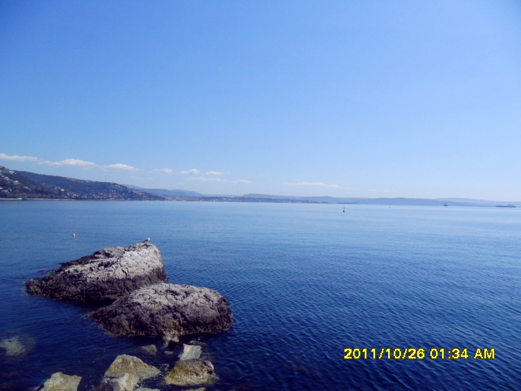 Ester : aprile 2013
