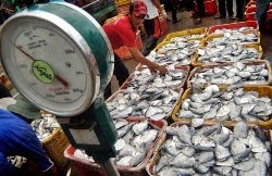 lowongan kerja lowongan kerja 2014