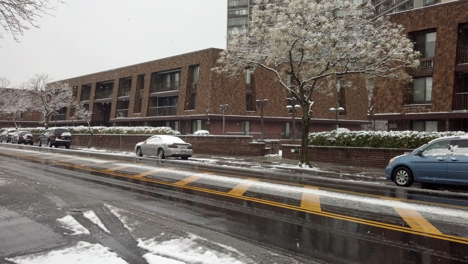 Bayside Mews Condo Happenings