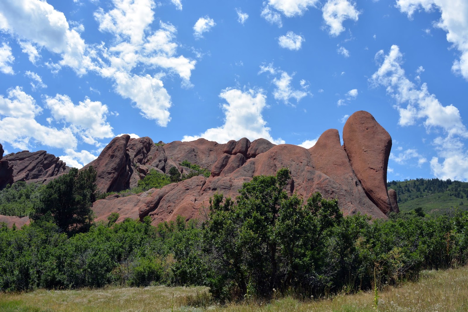 Mille Fiori Favoriti Roxborough State Park