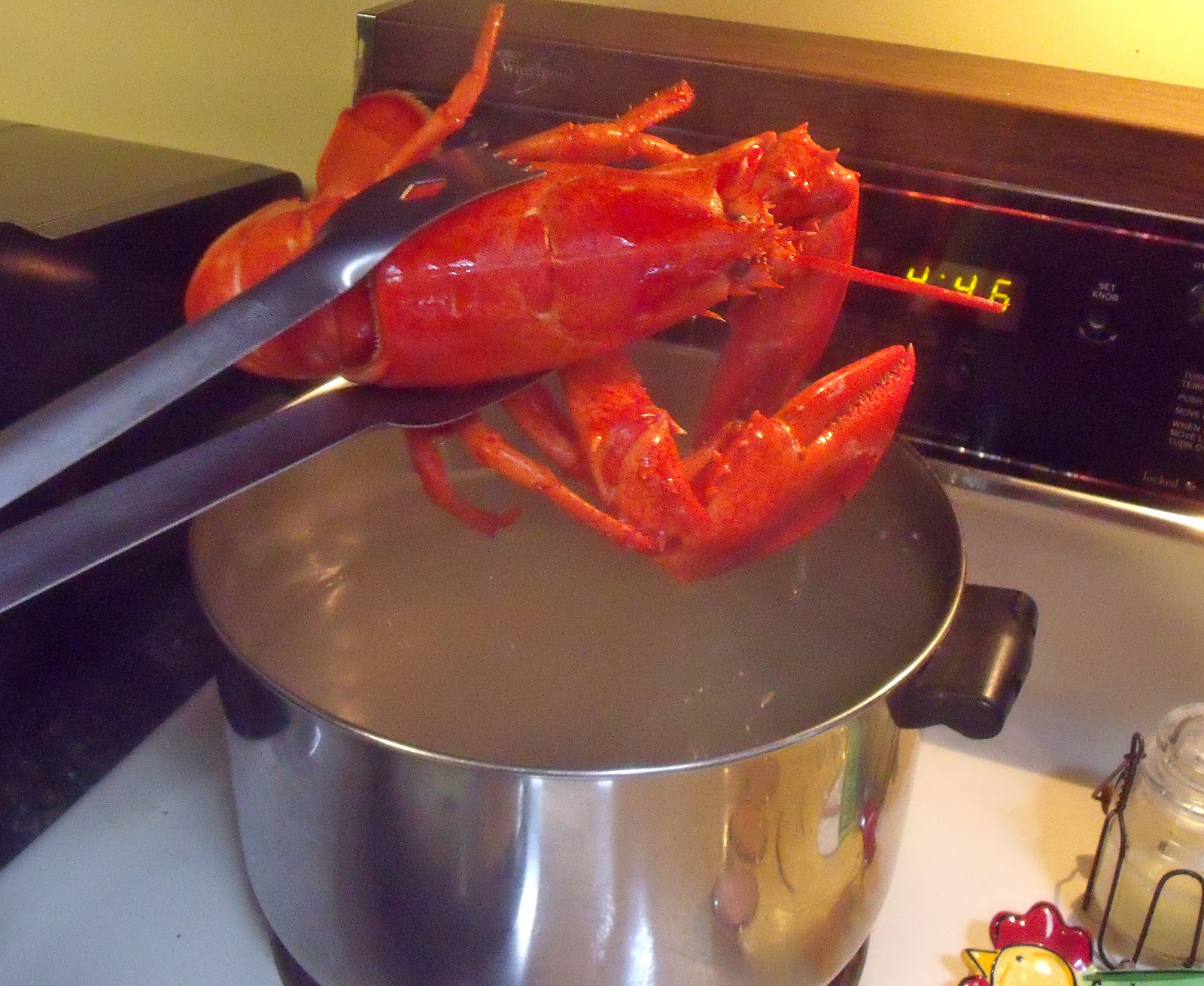 Boiling crabs and lobsters alive