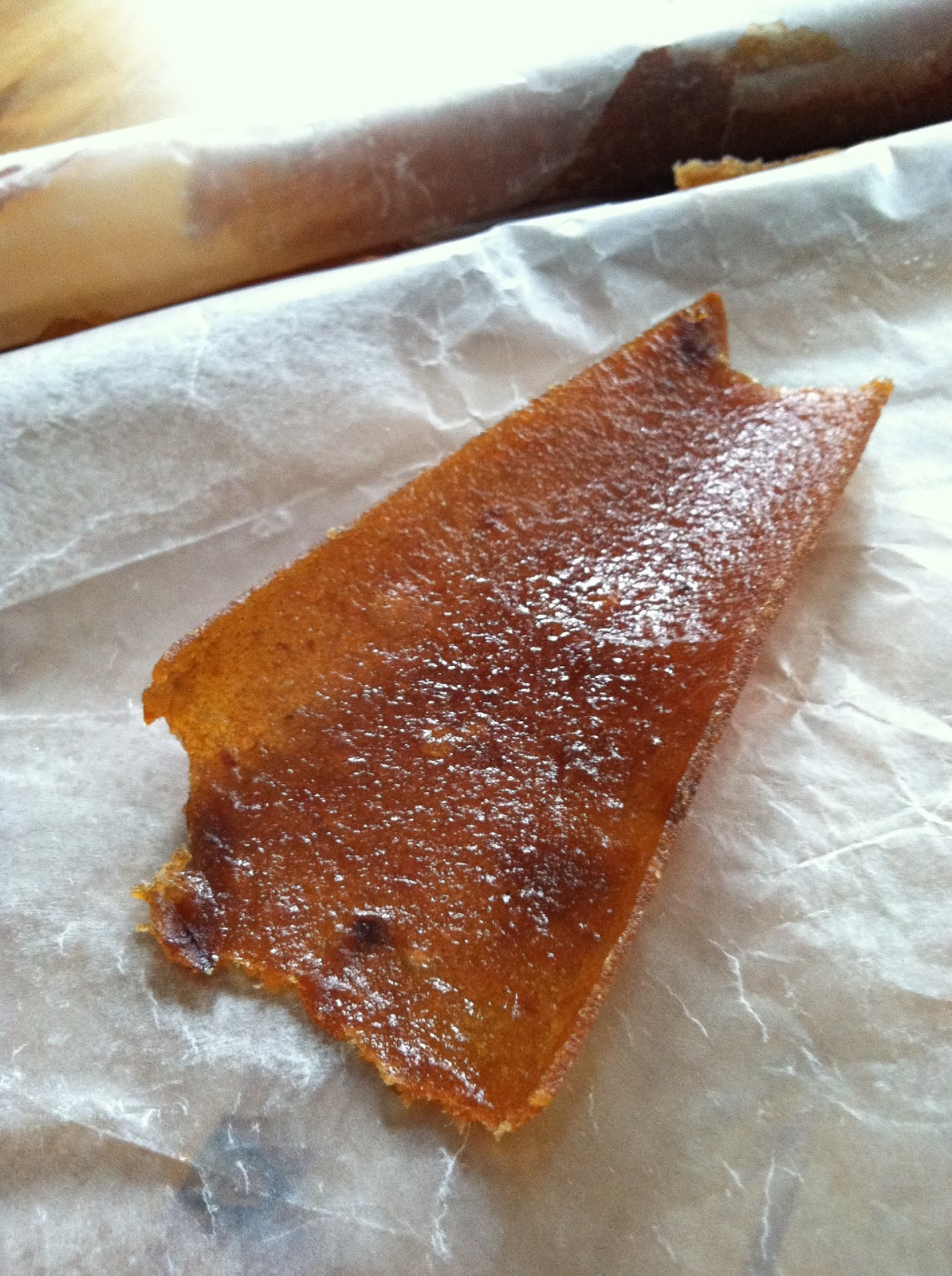 What Julia Ate Fruit Butter Leather