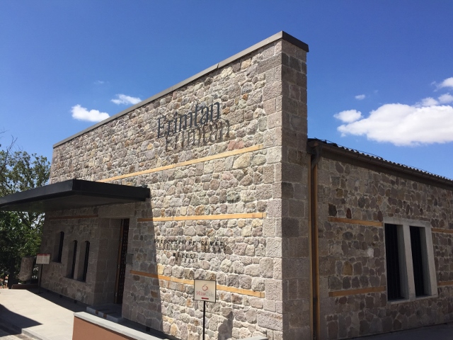 bir anne kizin anilari