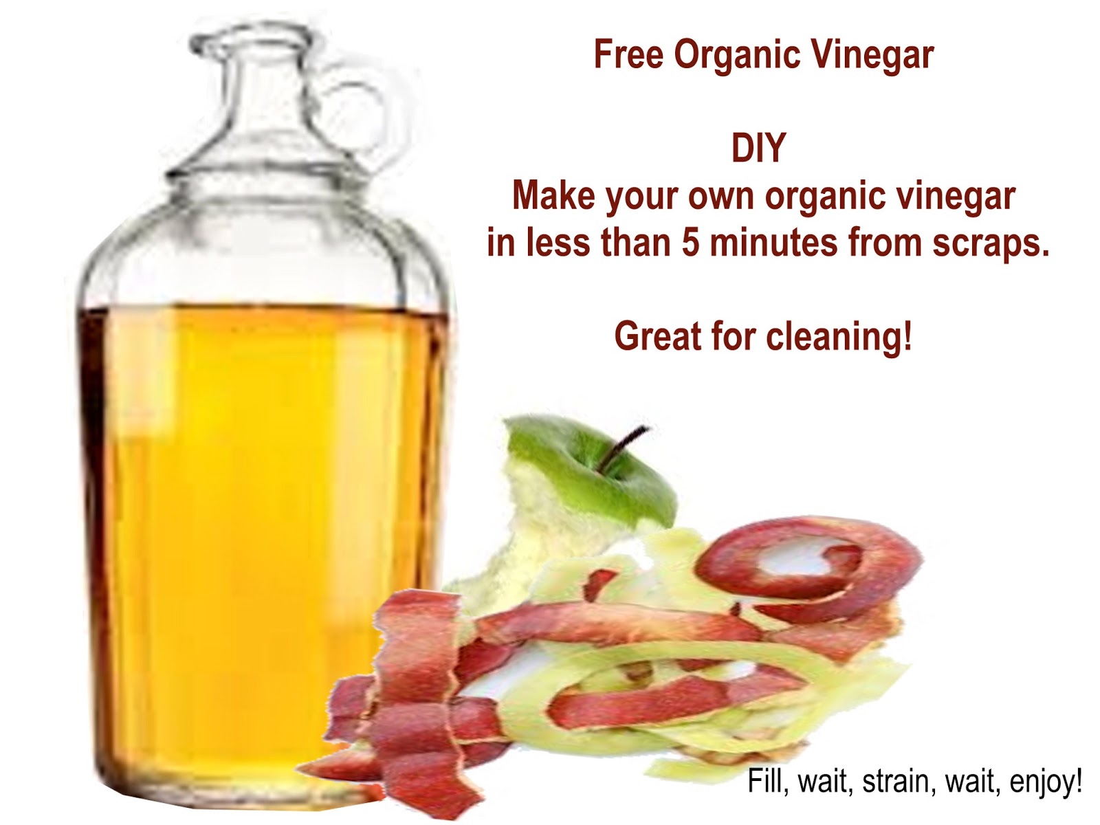 Make Your Own FREE Organic Vinegar & Stop Making Excuses