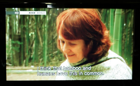 venetia ermie jennifer favorites kyoto blogger