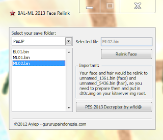 Relink Face PES 2013