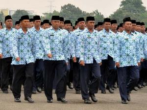 pegawai negeri sipil pns sepertinya semakin tersenyum lebar karena