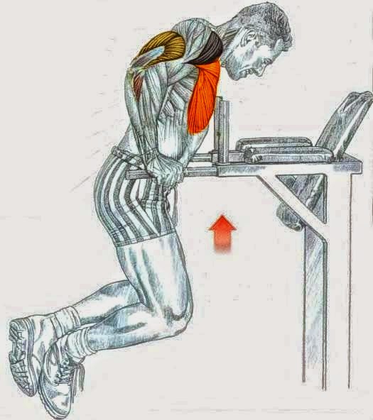 Shoulder Workout Exercises Parallel Dips Shoulder + Chest + Triceps