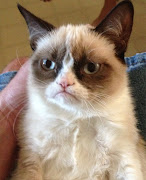 Thanks for reading: Grumpy Cat (grumpy cat)