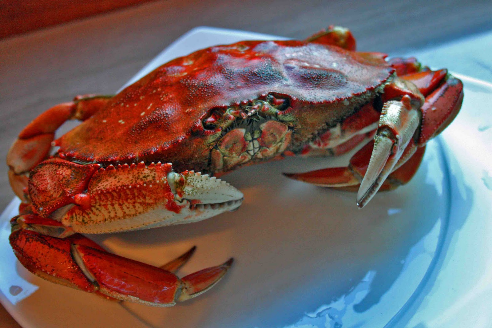 Dungeness Crab Season