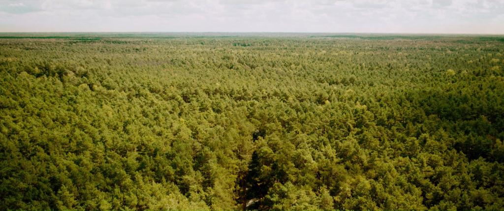 Amazônia secreta!