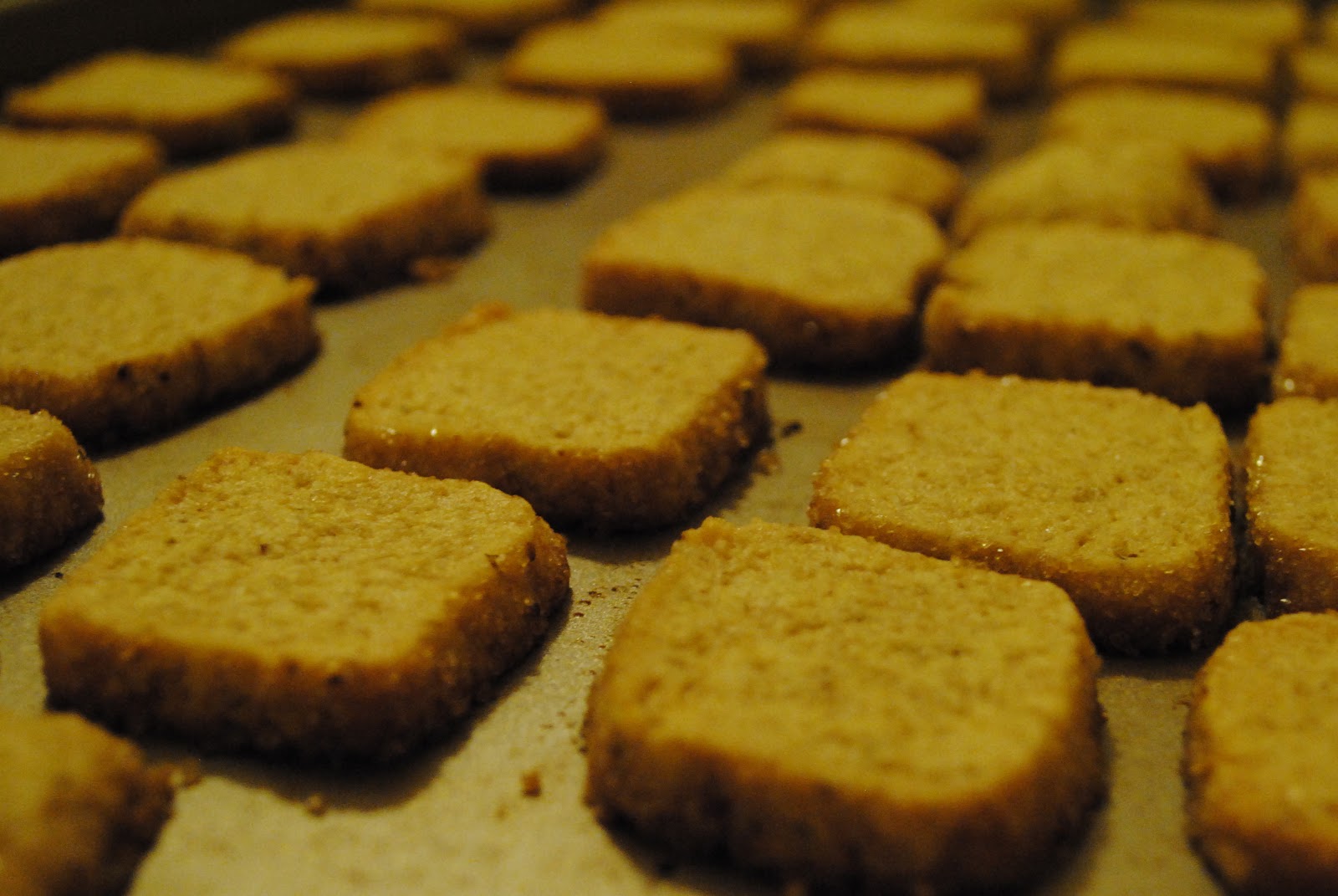 Chocolate Chip Shortbreads photo Chocolate Chip Shortbreads pics