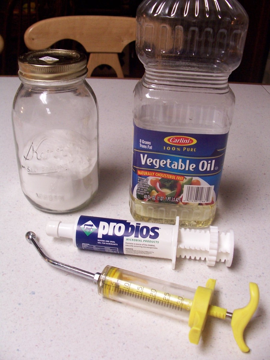 Krazo Acres Goat Bloat