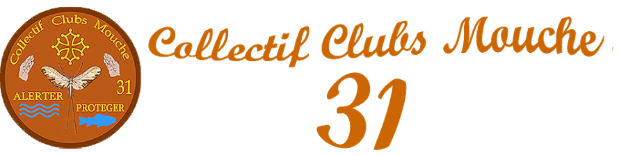 Collectif Clubs Mouche 31