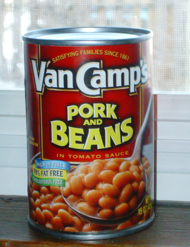  I'M NOT MESSY... I'M JUST BUSY Baked Beans Recipe