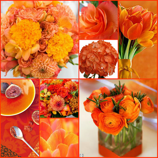 The French Tangerine orange poppy tangerine