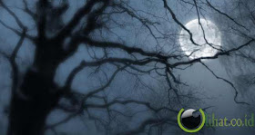 The Moon Trees The Moon Trees