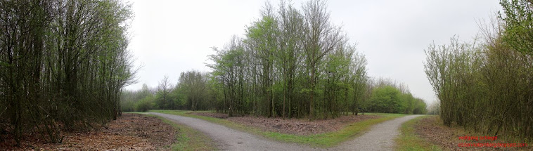 oben über der bonnekampstr und der gartenanlage