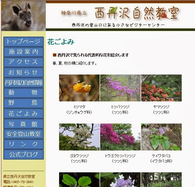 http://www.kanagawa-park.or.jp/nishitanzawa/flower.html