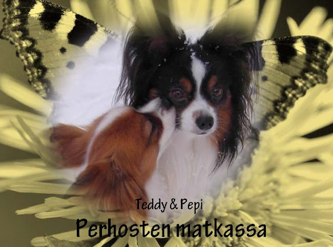 Papillon Prinssit