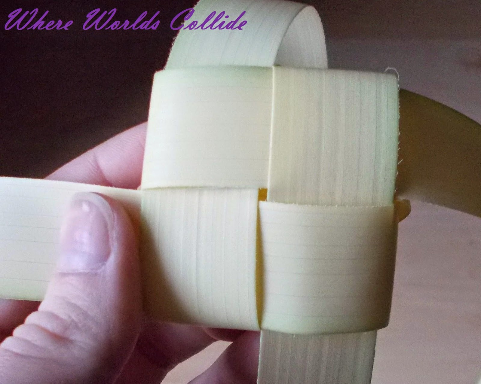 Where Worlds Collide Palm Weaving