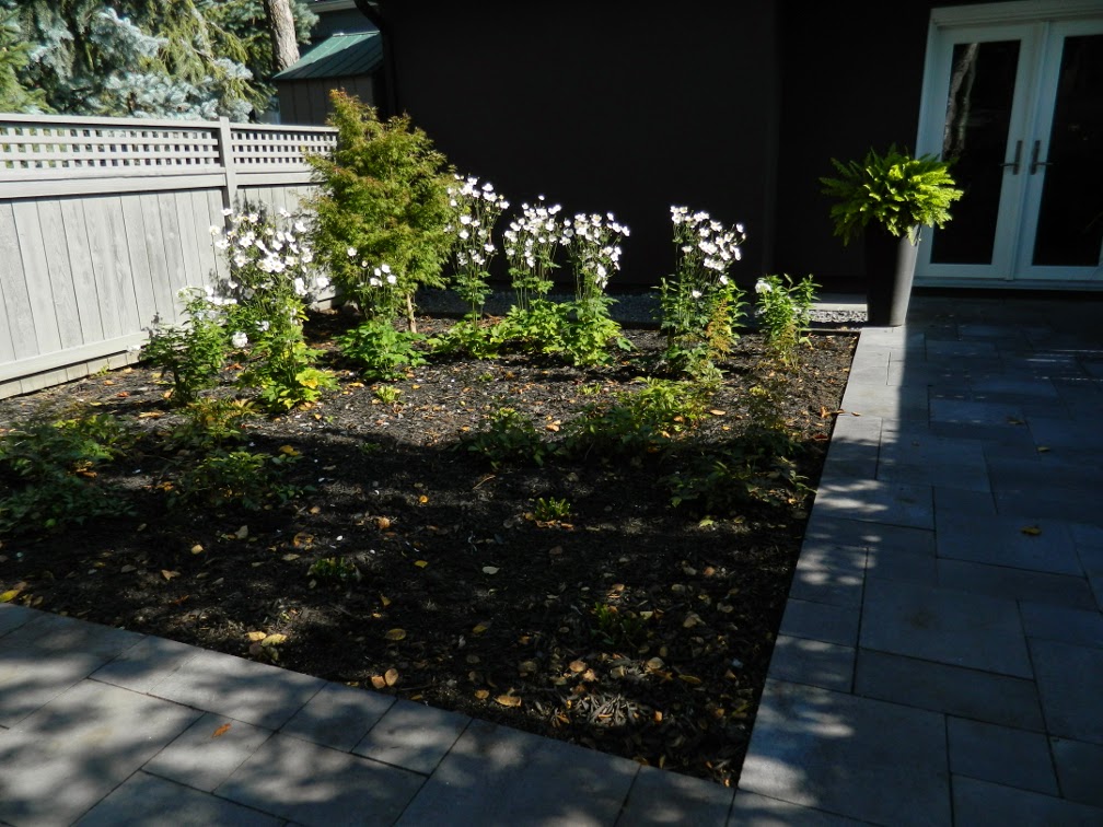 the danforth Toronto garden design after autumn by Paul Jung Gardening Services the danforth Toronto garden design after autumn by Paul Jung Gardening Services